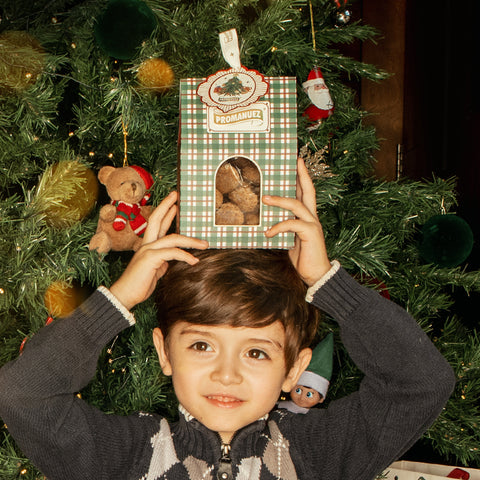 Galletas de Nuez con Canela Navideño